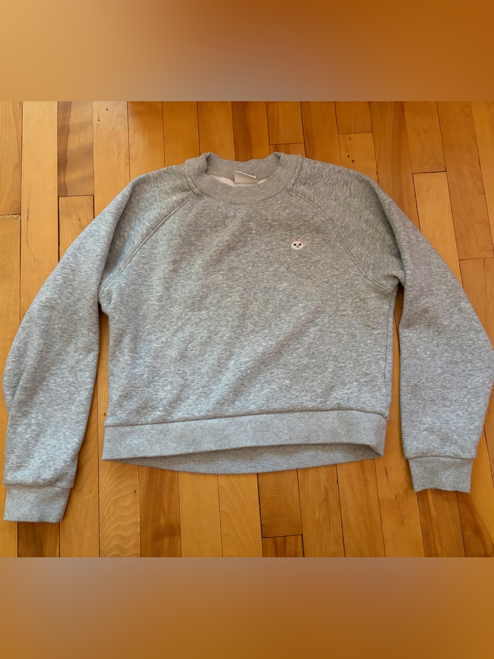 Aritzia - Sunday Best Cropped Raglan Sweatshirt